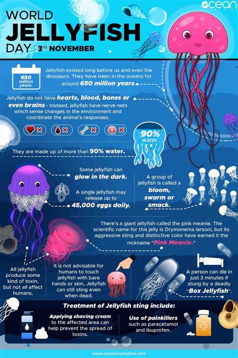Jellyfish fast facts. Things To Know About Jellyfish fast facts. 